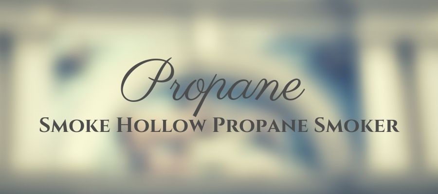 propane smoker reviews