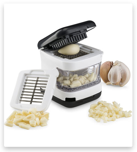 Kitchen Gizmo Innovative Garlic Press