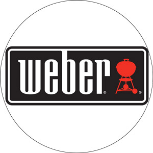 Read more about the article Best Weber Grill 2022