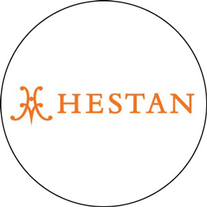 Read more about the article Hestan Grill Review 2022