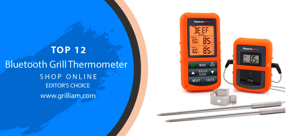 Top 12 Best Meat Thermometer for Grill [Buying Guide & Reviewed 2021]