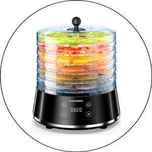 Read more about the article Best Food Dehydrators