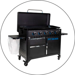 Read more about the article Best Gas Grill And Griddle Combo